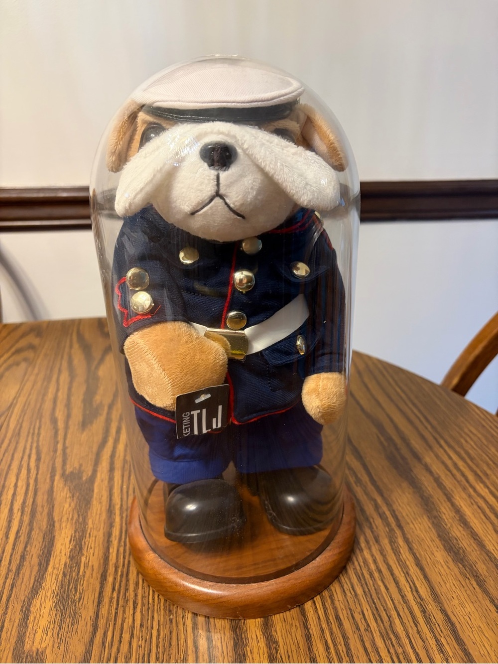 USMC STUFFED BULLDOG TEDDY BEAR WITH GLASS CASE